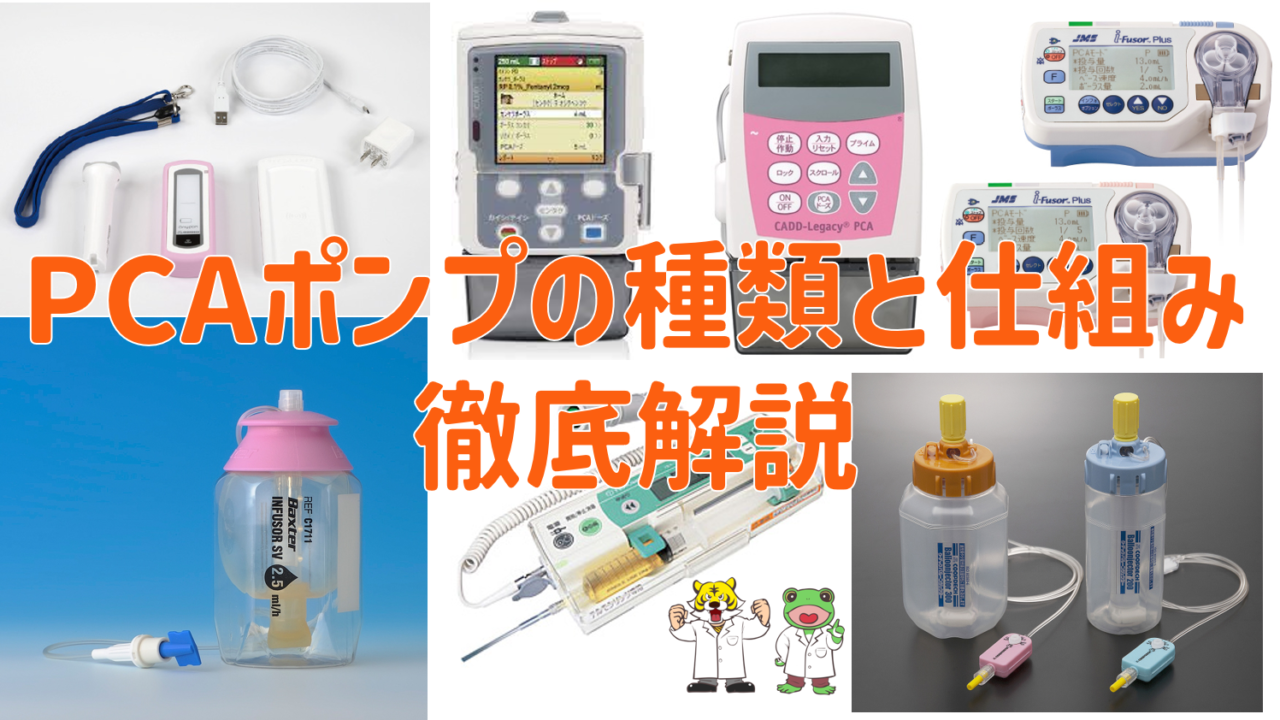 ペニスポンプはどのように機能しますか?